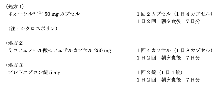 解説画像